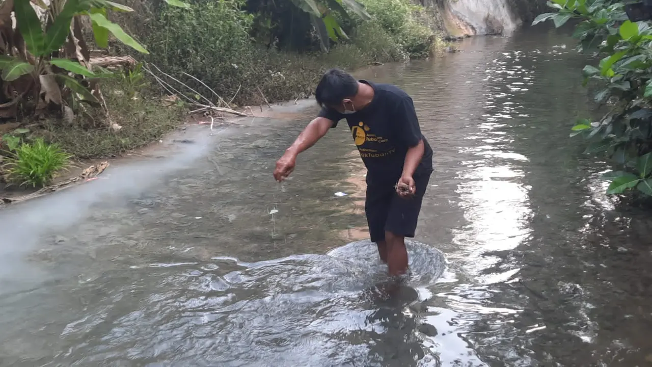 ikan mati di Tuban