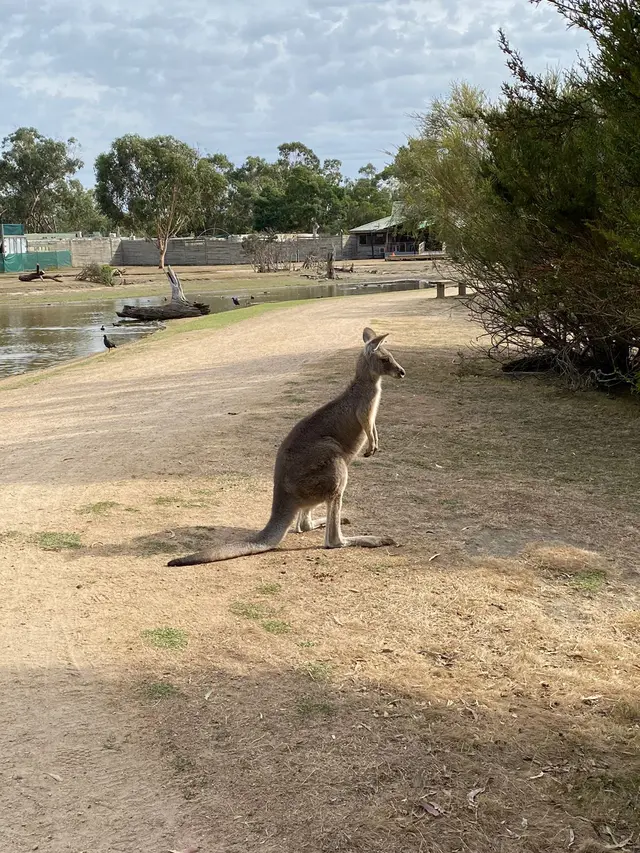 Moonlit Sanctuary Wildlife Conservation Park