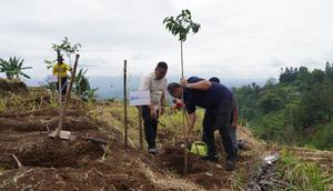 BRI Insurance menanam puluhan ribu bibit pohon pencegah erosi di lahan 1,5 hektare di Cigombong, Bogor, Jawa Barat. (Dok BRI Insurance)