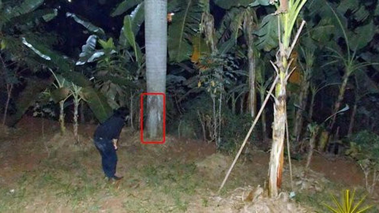 Diary Mistery Jakarta', komunitas pemburu foto hantu