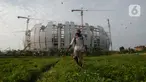 Petani menyemprot tanaman bayam dan kangkung di tanah garapan Taman BMW, Jakarta,Selasa (31/8/2021). Lahan kosong yang dirubah menjadi lahan produktif di samping proyek pembangunan Jakarta International Stadium (JIS) menjadi lahan pertanian sayur-sayuran. (merdeka.com/Imam Buhori)