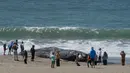 Para pengunjung pantai melihat Paus Humpback remaja yang mati di Pantai Baker di San Francisco, California (21/4/2020). (AP Photo/Jeff Chiu)