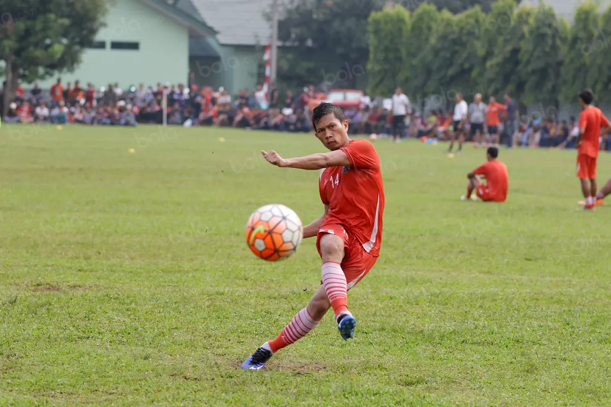 Ismed Sofyan