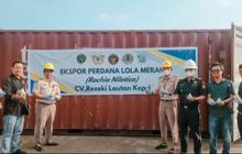 Buat Bahan Kancing Baju, UMKM Asal Tanjungpinang Ini Kirim 13 Ton Cangkang Keong ke Vietnam