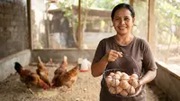 7 Cara Menghitung Keuntungan Ternak Ayam Kampung Petelur, Panduan untuk Memulai Usaha dari Rumah