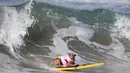 Seekor anjing mengikuti kompetisi surfing bagi anjing di Pantai Huntington, California, Minggu (25/9). Kontes Dog Surf City ini merupakan yang kesekian kalinya dan selalu mendapat sambutan yang meriah. (REUTERS/Lucy Nicholson)