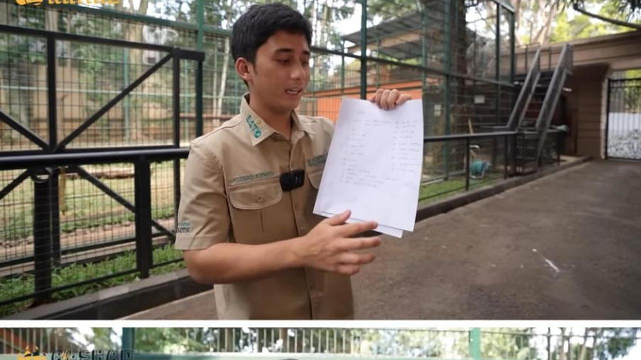 Pelihara 4 Harimau & Banyak Jenis Satwa, Segini Biaya Fantastis di Penangkaran Alshad Ahmad Dalam Sebulan