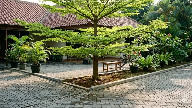 Jenis Pohon yang Akarnya Cenderung Aman untuk Halaman Berubin