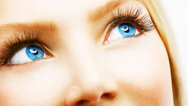 Courtesy ShutterStock.com