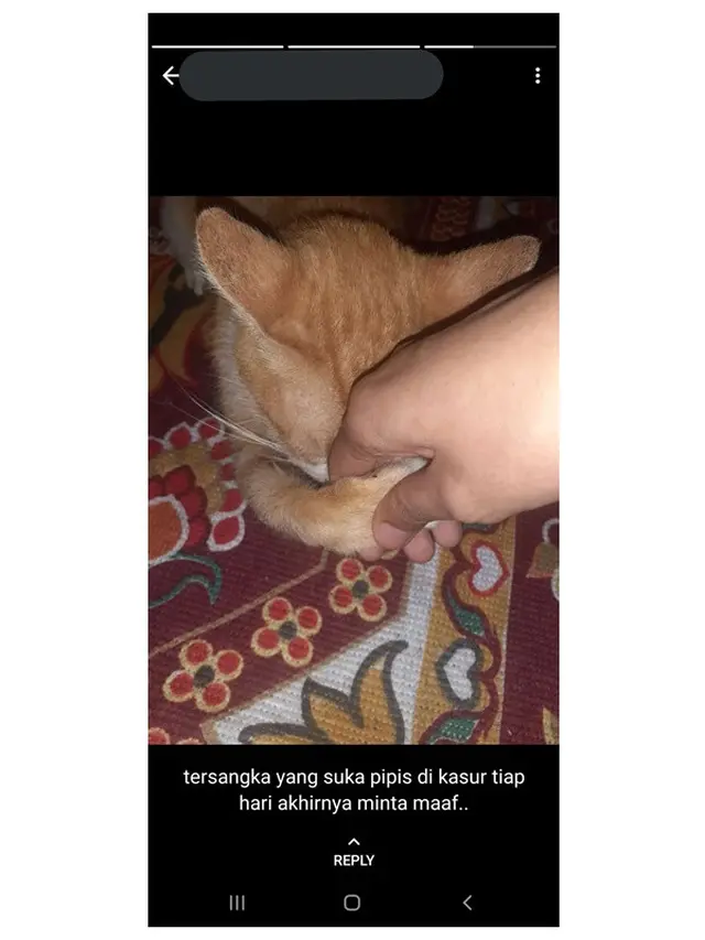 6 Status WhatsApp Kocak Netizen Saat Lebaran Ini Bikin Tepuk Jidat