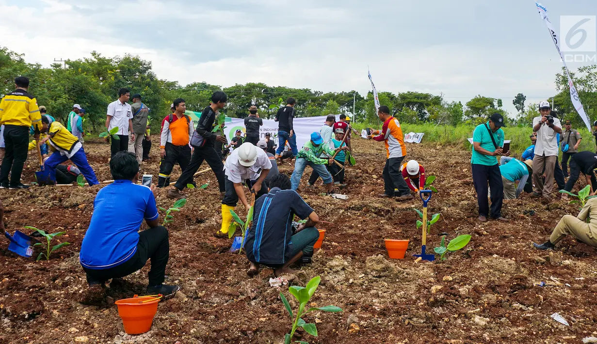 Karyawan dibantu masyarakat sekitar menanam 3.500 pohon pisang cavendish di Kawasan Pabrik Tuban, Jawa Timur, (22/4). Kegiatan dalam mengoptimalsasi lahan pasca tambang digelar dalam rangka memperingati Hari Bumi 2019. (Liputan6.com/Pool/Semen Indonesia)