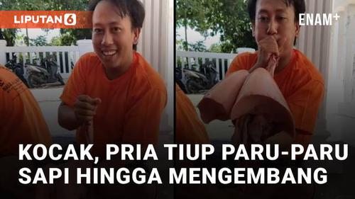 VIDEO: Kocak, Aksi Pria Tiup Paru-Paru Sapi Hingga Mengembang