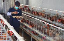 Program Ketahanan Pangan Lapas Semarang Penuhi Sebagian Kebutuhan Dapur dan Bekali Warga Binaan