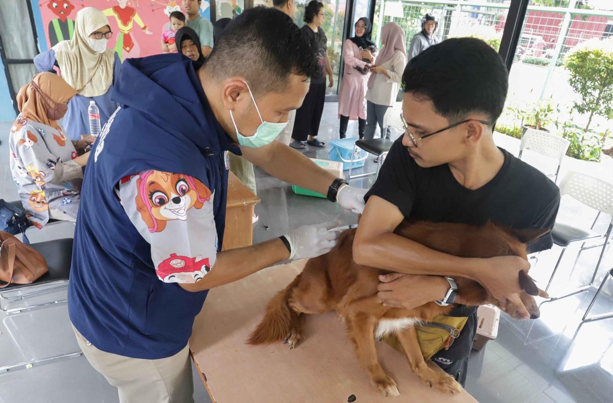 FOTO: Cegah Rabies, Pemkot Jaksel Gelar Vaksinasi Gratis untuk Hewan Peliharaan