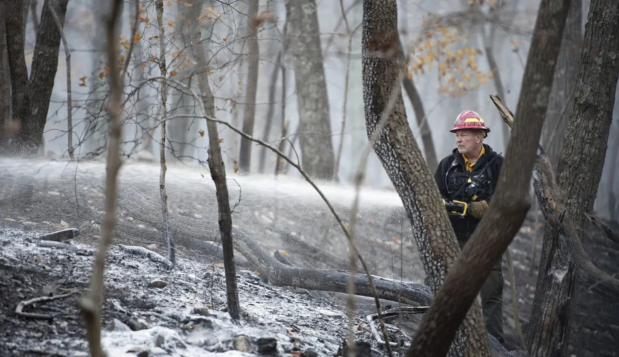 Seorang petugas pemadam kebakaran dari North Carolina Forest Service menyemprotkan sisa titik api dari kebakaran hutan di Pilot Mountain State Park yang menyebabkan kerusakan lebih dari 1.000 hektar di Pinnacle, North Carolina, AS (30/11/2021). (Allison Lee Isley/The Winston-Salem Journal via AP)