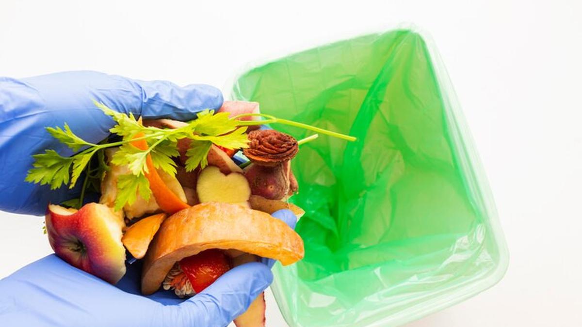 Tahukah Kamu? Ini Cara Mengolah Limbah Dapur di Rumah Jadi Berkah Lingkungan!