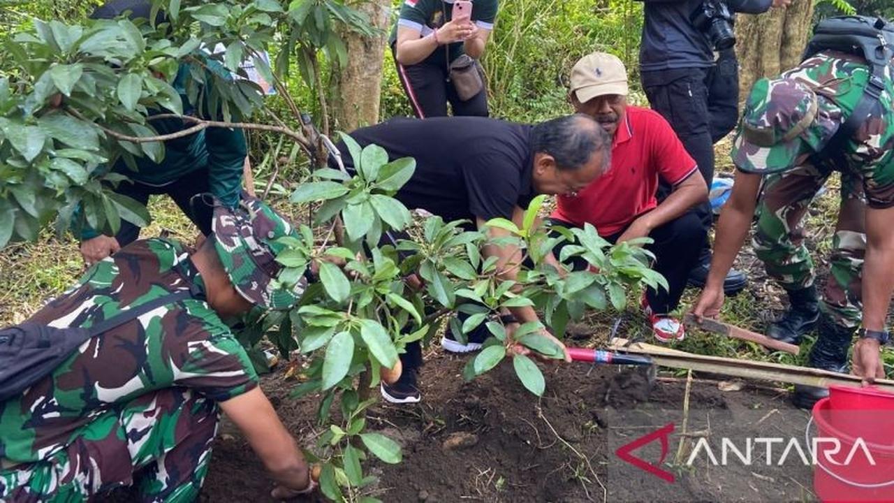 Trivia: 34 Ribu Hektare Hutan Hilang di Bali, Gubernur Koster Yakin Penanaman Pohon Bali Rutin Bisa Pulihkan Tutupan Hutan