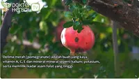 Dokter Herbal Ungkap Cara Manfaatkan Delima Merah untuk Kecantikan