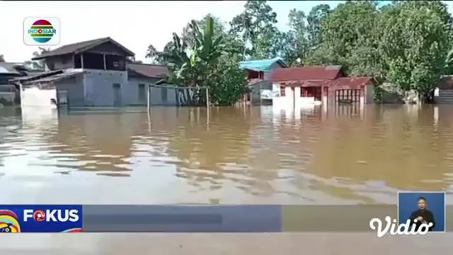 Perbarui informasi Anda dalam Fokus edisi (20/11) dengan berita-berita sebagai berikut, Pemakaman Korban Tabrakan Kereta Api dan Mikrobus, Evakuasi Penumpang Kapal, Penyelundupan Belasan Penyu Digagalkan.