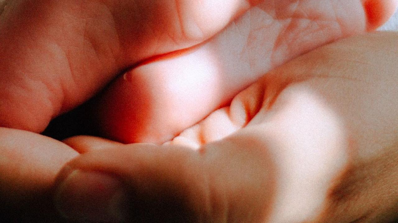 <b>Fakta Tentang Ari-Ari Bayi</b>