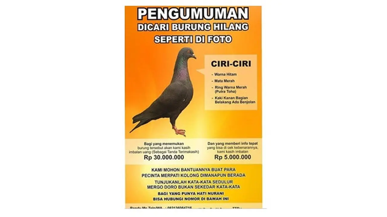 Sayembara Cari Burung yang Hilang