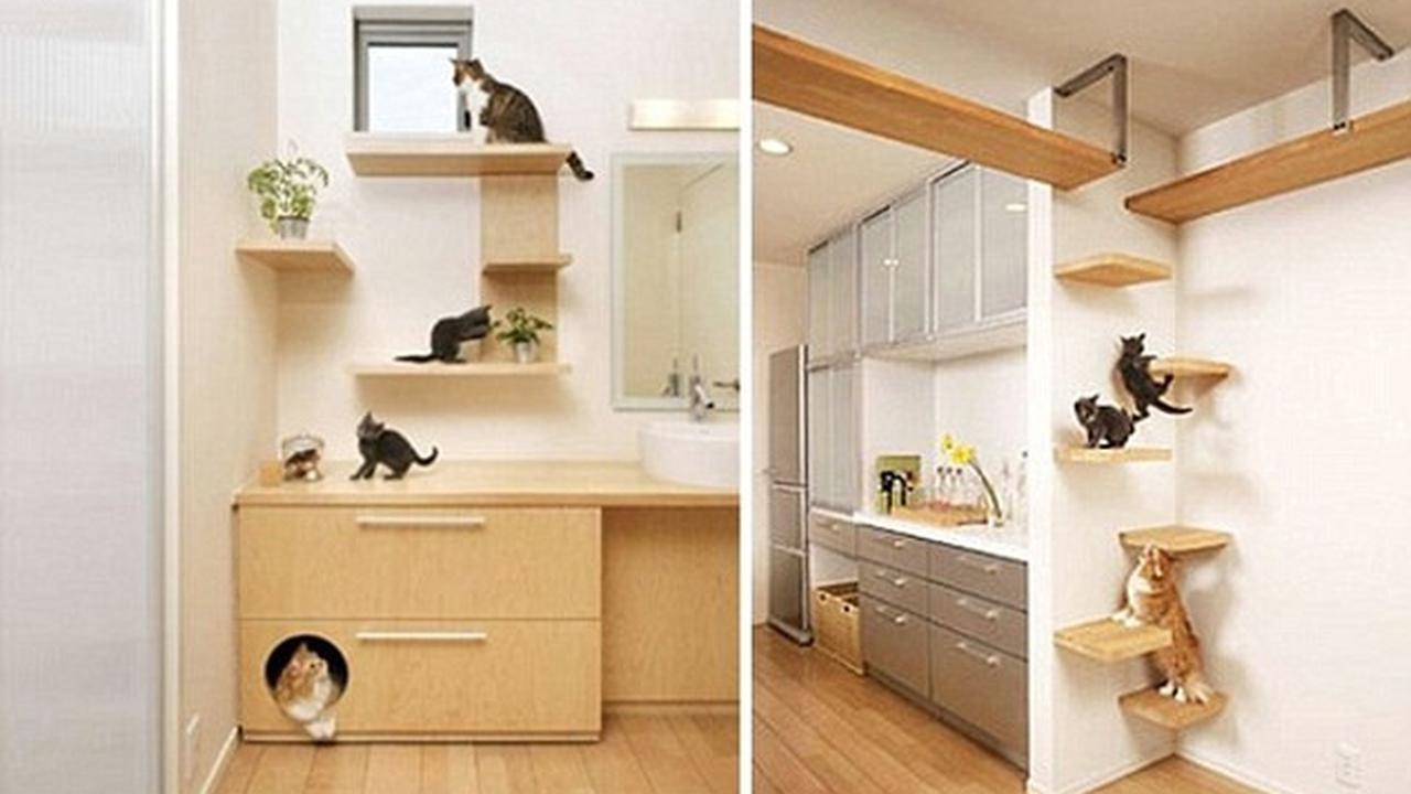 Rumah kucing