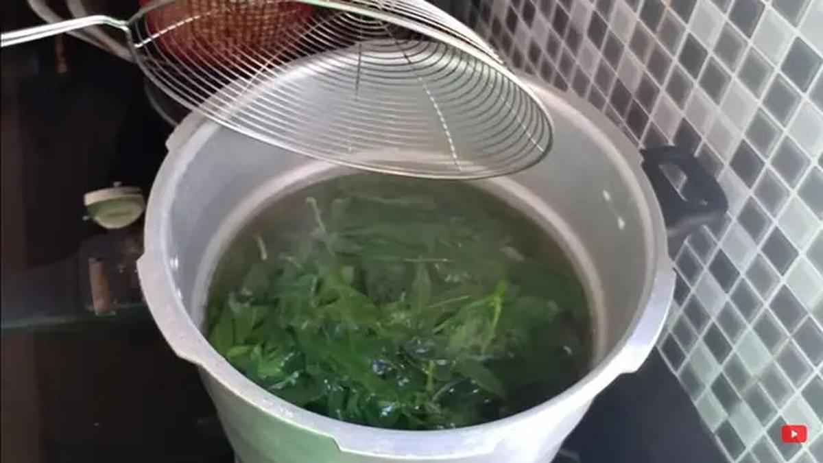 Cara Merebus Daun Singkong Agar Tetap Hijau Segar dan Empuk