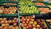 Kemendag Telusuri Masuknya 606 Kg Buah Secara Ilegal