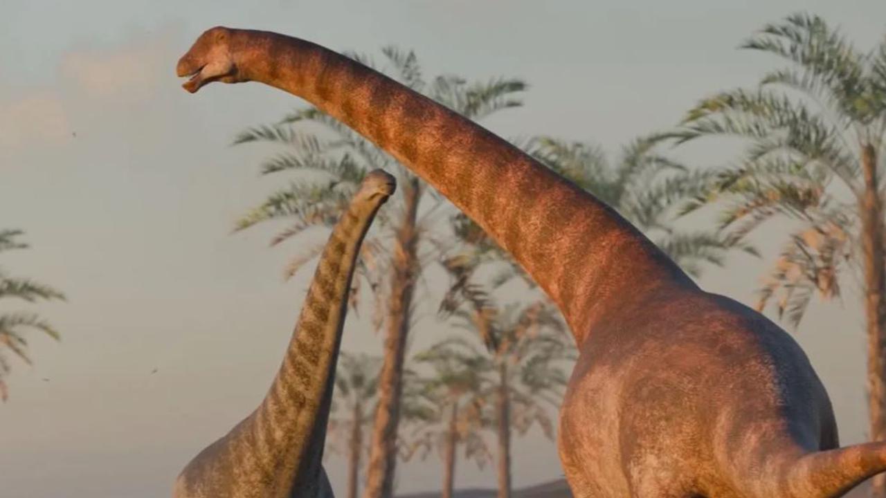 Ilmuwan Temukan Spesies Baru Titanosaurus dalam Tumpukan Fosil Berusia 78 Juta Tahun, Dikenal sebagai 'Raksasa Lembut
