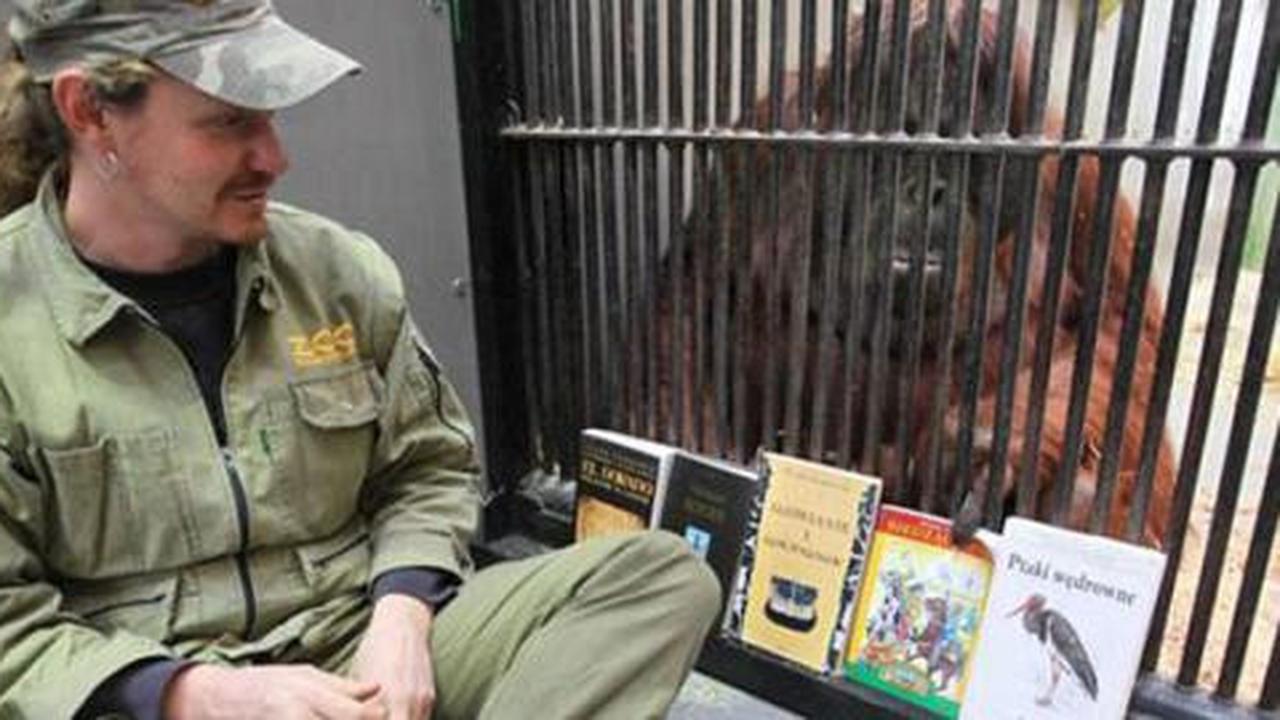 Wow, orang utan ini gemar baca novel cinta!