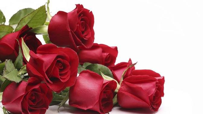 Intip Makna  di  Balik Warna warni Buket Mawar  Valentine 