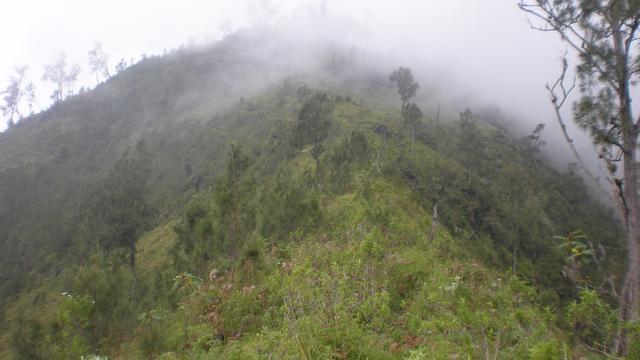 Sejumlah Pendaki Diduga Tersesat di Gunung Wilis News 