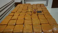 _Polisi Tangkap Dua Pelaku Pengedar Narkoba, Sita 62,5 Kilogram Ganja