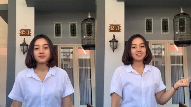 Kandang Burung 3