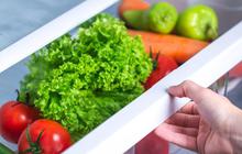 5 Cara Menyimpan Sayur agar Tetap Segar Hingga Seminggu dan Hemat Uang