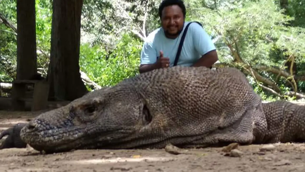 Pulau Komodo