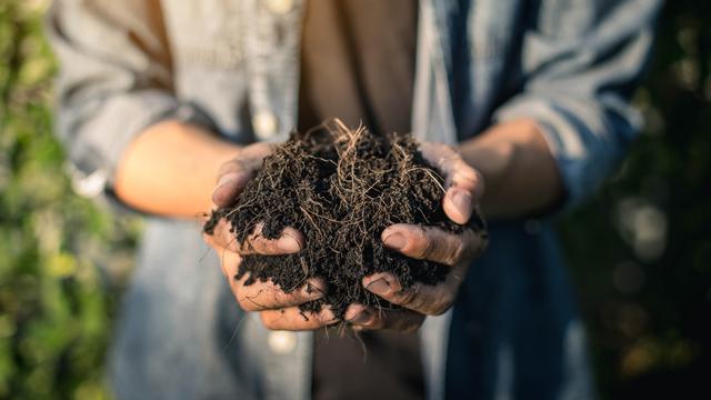 Pembuatan Pupuk Kompos.