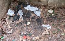 Penemuan Alat Kontrasepsi di Taman Kota Cawang, Pemkot Jaktim Ambil Tindakan Tegas