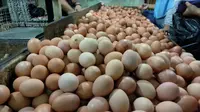 Pantauan harga telur di pasar tradisional (Foto:Liputan6.com/Maulandy R)