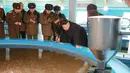 Pemimpin Korea Utara, Kim Jong Un melihat kolam budidaya ikan lele saat mengunjungi Samchon Catfish Farm, Selasa (21/2). Kim Jong tampak mengamati ikan lele yang mulai membesar. (AFP Photo/KCNA)