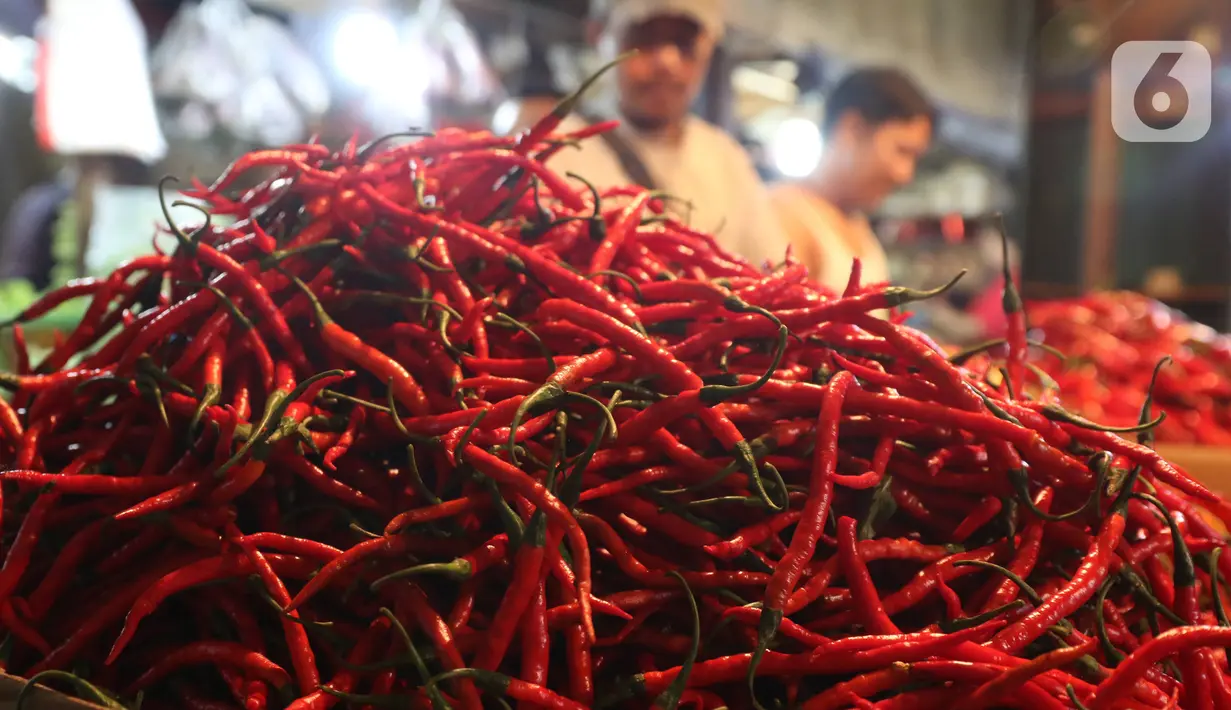 Aktivitas perdagangan cabai di Pasar Senen, Jakarta, Selasa (14/1/2020). Pada musim penghujan tahun ini harga berbagai macam cabai di pasar tersebut  meroket dari hanya Rp20 ribu per kilogram naik hampir mencapai Rp80 ribu. (Liputan6.com/Angga Yuniar)