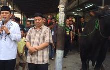 Idul Adha, PKB korban 58 sapi & ratusan kambing