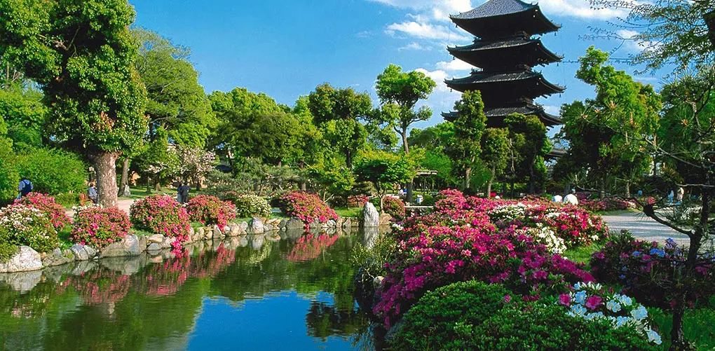 Kyoto, Jepang. (Pinterest)