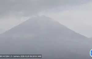 Semeru Bergemuruh, Puluhan Gempa Tercatat dalam Hitungan Jam