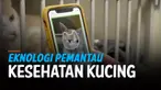 Penjualan produk hewan peliharaan selama 2020 menembus 100 miliar dolar untuk pertama kalinya, menurut pantauan Asosiasi Produk Hewan Peliharaan AS (APPA), karena orang seharian di rumah saja bersama anjing dan kucing kesayangan mereka. Berbagai prod...