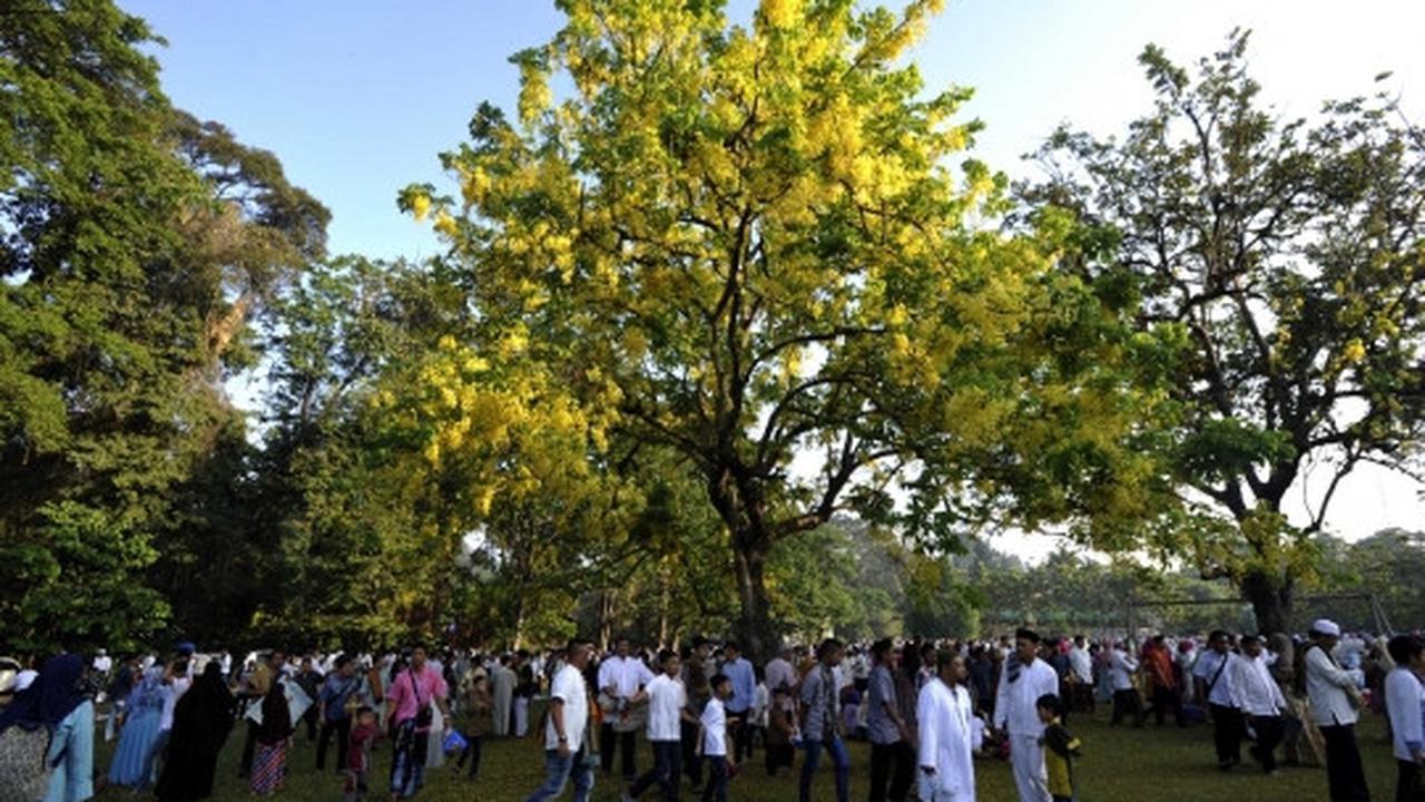 Melaksanakan Salat Idul Fitri 1436 H di Kebun Raya Bogor