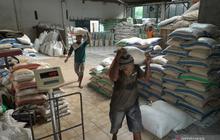 Meski Harga Jual Beras SPHP Bervariasi, Bulog Banyumas Jamin Stabilitas Harga Beras Purbalingga Tetap Terkendali