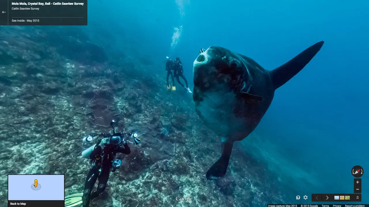Google Maps - Ocean View 0615