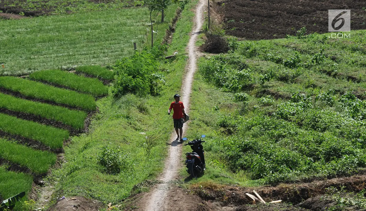 Petani berjalan di sisi lahan pertanian garapan di Gentong, Wanasari, Kab Brebes, Jawa Tengah, Sabtu (23/12). Petani mengeluhkan harga bawang merah yang sedang turun karena kualitas yang jelek akibat pengaruh cuaca. (Liputan6.com/Helmi Fithriansyah)