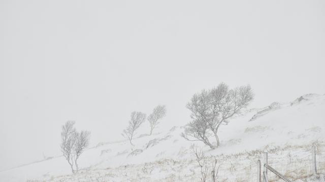 Ilustrasi Badai Salju